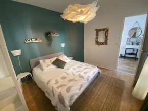 appartement hyper centre ville